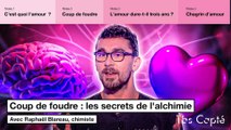 Les secrets du coup de foudre expliqués par un chimiste - T'as Capté - CANAL+