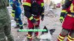 'Heroic' rescue dog who died searching for earthquake survivors in Turkey honoured in home country