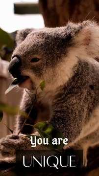 Aesthetic Minimalist Short Video For Instagram Reels Flower in Hand