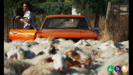 Colapesce e Dimartino, ecco il film in giro per i luoghi magici della Sicilia