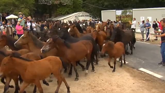 Eólica sí, pero no así. El debate de las renovables a cualquier precio
