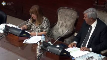 Suspendieron a la diputada Débora Juárez Orieta