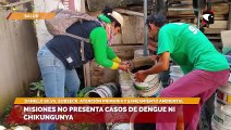 Misiones no presenta casos de dengue ni chikungunya