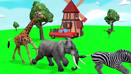 Paint-and-animals-gorilla-Elephant-Duck-_19