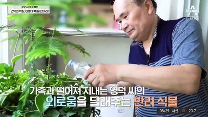 100 Years Old Project - Se01 - Ep13 Watch HD