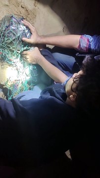 Rescuing a Dog With Its Head Trapped in a Plastic Jar