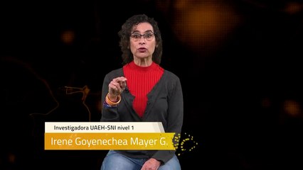 Sinapsis T2 Ep.48 | ¿Quiénes son los reptiles?