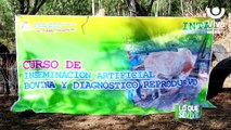 Inta imparte curso de inseminación artificial bovina en Nueva Segovia