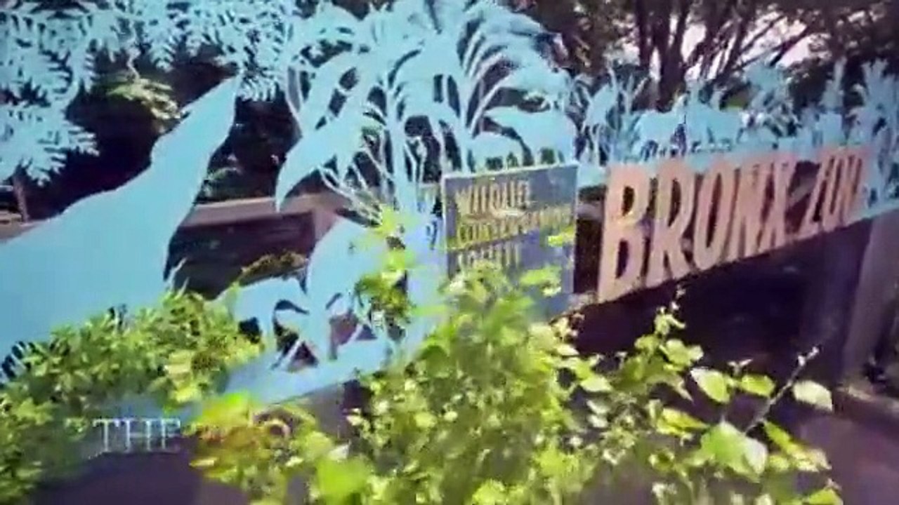 The Zoo - Se4 - Ep13 - Great Snakes! HD Watch