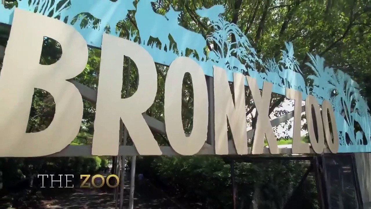 The Zoo - Se4 - Ep09 - Fawns Become Friends HD Watch