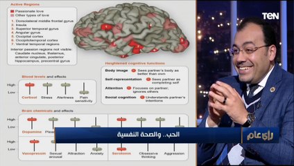 الانجذاب عضوي في المقام الأول.. تحليل تفصيلي للحب من داخل جسم الإنسان