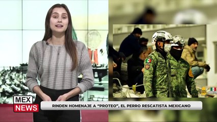 RINDEN HOMENAJE A "PROTEO", EL PERRO RESCATISTA MEXICANO