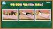 [HEALTHY] Find the attitude that worsens knee pain!,기분 좋은 날 230216