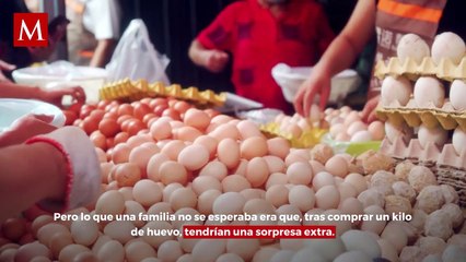 ¿Cómo pasó? Familia queda sorprendida luego de comprar 1 kilo de huevo; con un pollito incluido