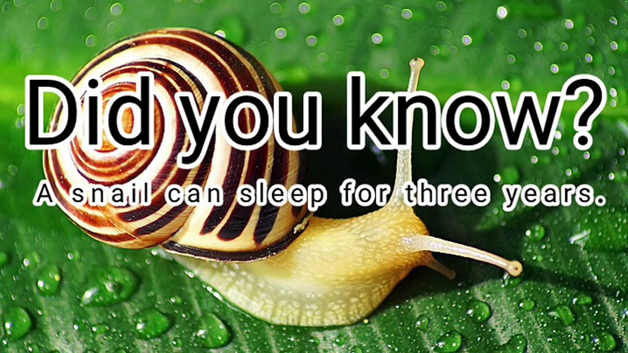 vidma_20230215_143204