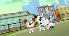Pound Puppies 2010 Pound Puppies 2010 S03 E006 It’s Elementary My Dear Pup Club
