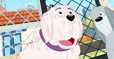 Pound Puppies 2010 Pound Puppies 2010 S03 E012 Beauty is Only Fur Deep