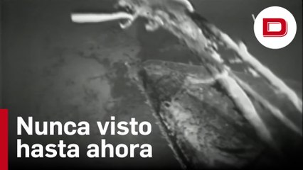 Las imágenes del Titanic nunca vistas hasta la fecha