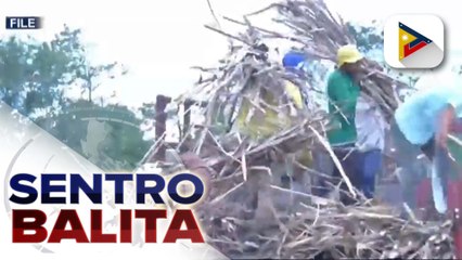 Kamara, tiniyak ang tulong sa 12-K sugarcane farm workers sa Nasugbu, Batangas na apektado ng pagsasara ng isang malaking sugar company