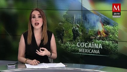 La Sedena enfrenta un nuevo desafío, al destruir 23 sembradíos de coca en Guerrero