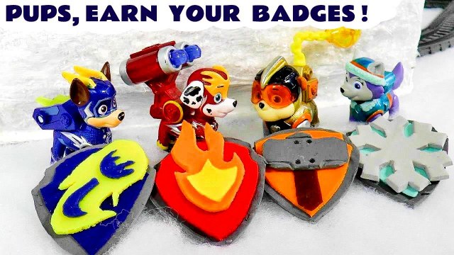 Paw Patrol RESCUE Stories with the Toy Mighty Pups Earning Their Badges