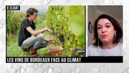 SMART IMPACT - L'invité de SMART IMPACT : Marie-Catherine Dufour (CIVB)