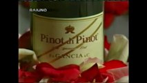 Pubblicità/Bumper anni 90 RAI 1 - Spumante Brut Pinot di Pinot F.lli Gancia con Camilla Raznovich