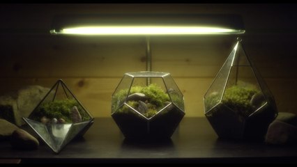 A Dim Valley (2020) | Official Trailer, Full Movie Stream Preview