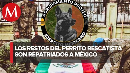 Proteo regresará a México; Sedena anuncia repatriación del cuerpo