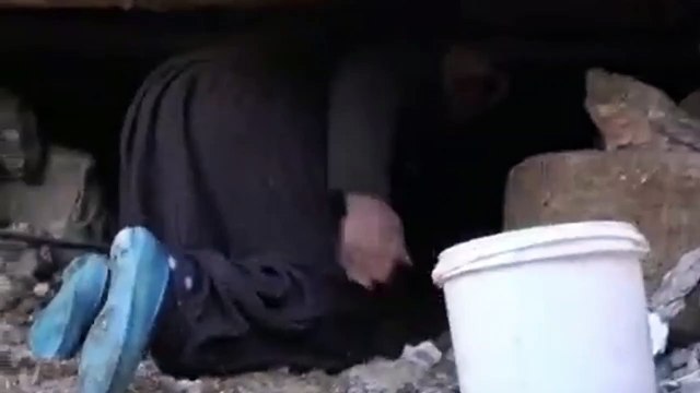 Enkaz altına girerek ineğini besliyor