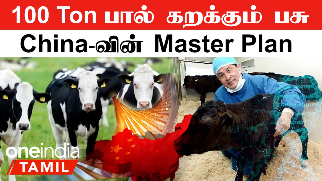 China-வின் Super Cows | Cloned Cows உருவாக்கும் China..Plan இதுதானா?