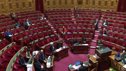 Violences conjugales : l'aide financière pour les victimes adoptée à l’unanimité au Sénat