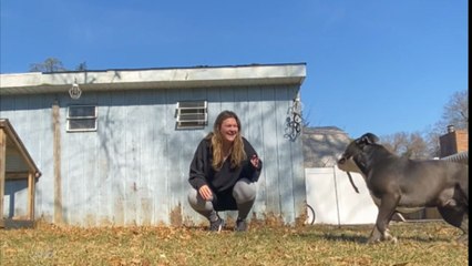 Sly dog tackles owner and makes it look like an accident