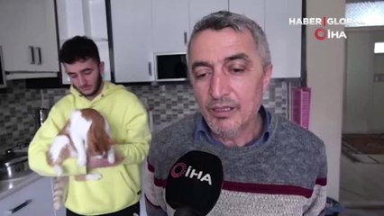 Rüyasına girdi, depremde mahsur kalan kedisini canı pahasına kurtardı