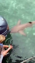 Donner à manger à un requin #FAIL