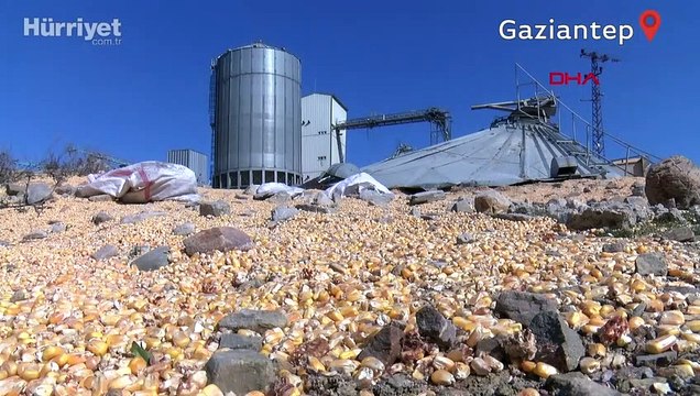 Gaziantep'in Nurdağı ilçesinde TMO'nun mısır siloları yıkıldı, tonlarca mısır çevreye saçıldı
