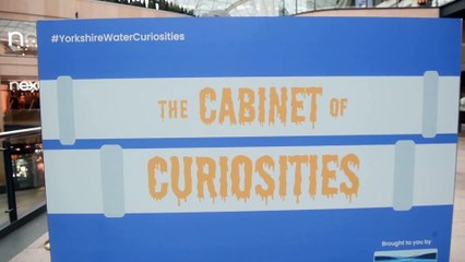 Yorkshire Water's Cabinet of Curiosities exhibition at Trinity Leeds.