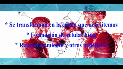 _REGENERA TUS ___CÉLULAS MADRE DE FORMA FÁCIL -- salud, bienestar, cuidado