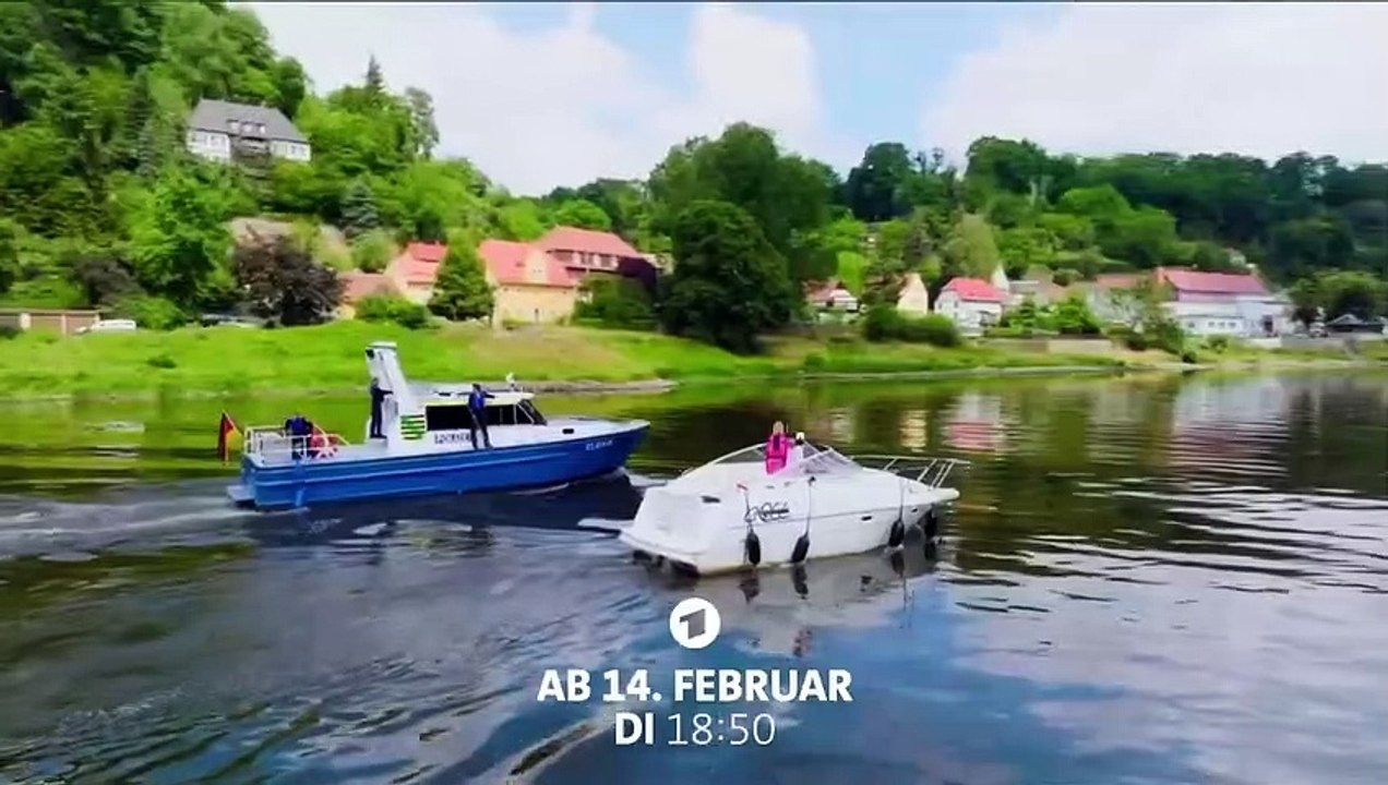 WaPo Elbe Trailer DF