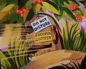 Woody Woodpecker Woody Woodpecker E035 – Wicket Wacky