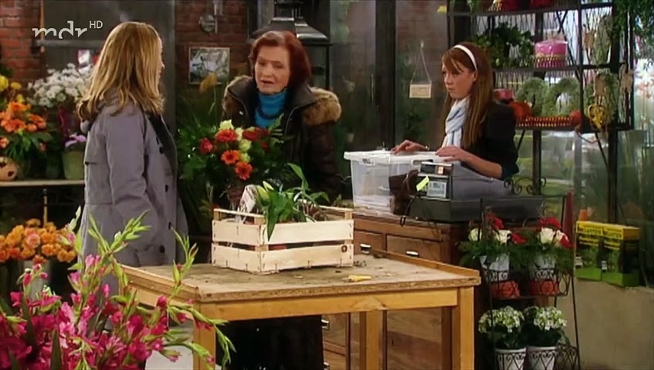 Rote Rosen Folge 800