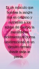 El corazón es mucho más que un músculo  -- salud, bienestar, cuidado