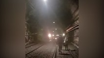 Treno Roma-Viterbo bloccato in galleria: passeggeri costretti a piedi sui binari fino al capolinea