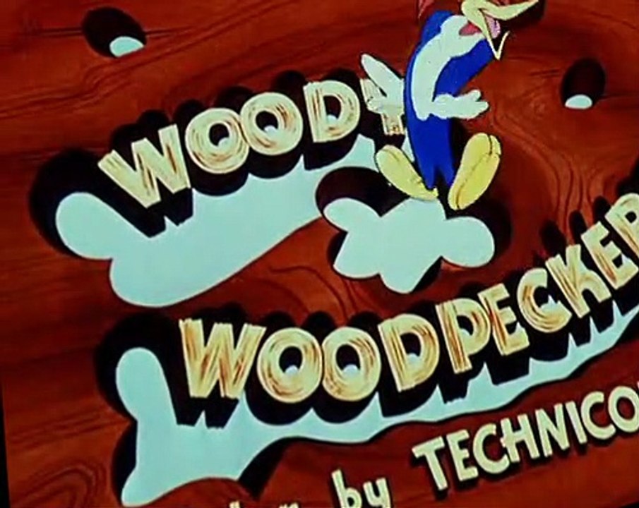 Woody Woodpecker Woody Woodpecker E047 – Buccaneer Woodpecker