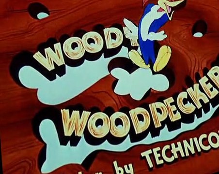 Woody Woodpecker Woody Woodpecker E047 – Buccaneer Woodpecker