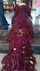 पवित्र जल से रूद्राक्ष का अ​भिषेक, ​शिवरात्रि पर भोजपुर और भोपाल में होगा दो लाख रूद्राक्ष वितरण