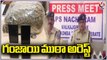 Police Arrested Ganja Transporting Gang In Nacharam | Hyderabad | V6 News