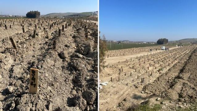 Depremin yıktığı Hatay'da cenazeler nasıl defnediliyor? İşte adım adım izlenen yol