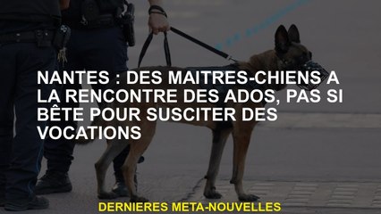 Nantes: Masters pour rencontrer les adolescents, pas si stupide pour susciter des vocations