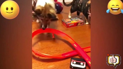 TRY NO NOT LAUGH. FUNNY PRANK FAILS LAUGH VİDEOS #3